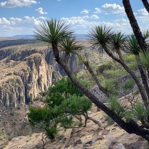 Meet your Posher, Valerie